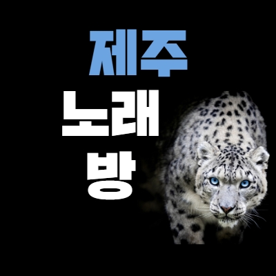 제주도 노래방알바